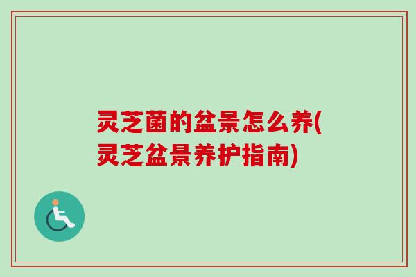 灵芝菌的盆景怎么养(灵芝盆景养护指南)