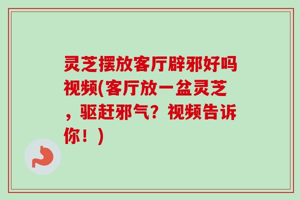灵芝摆放客厅辟邪好吗视频(客厅放一盆灵芝，驱赶邪气？视频告诉你！)