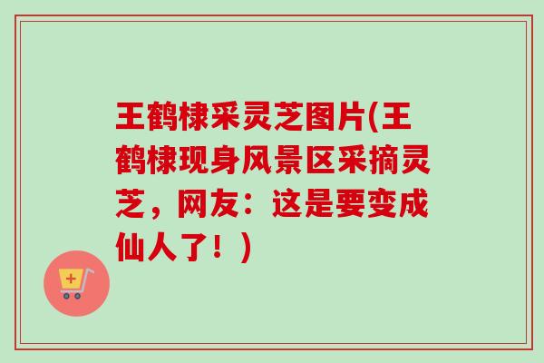 王鹤棣采灵芝图片(王鹤棣现身风景区采摘灵芝,网友:这是要变成仙人了!) 王鹤棣采灵芝图片(王鹤棣现身风景区采摘灵芝,网友:这是要变成仙人了!)