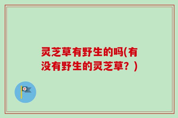 灵芝草有野生的吗(有没有野生的灵芝草？)