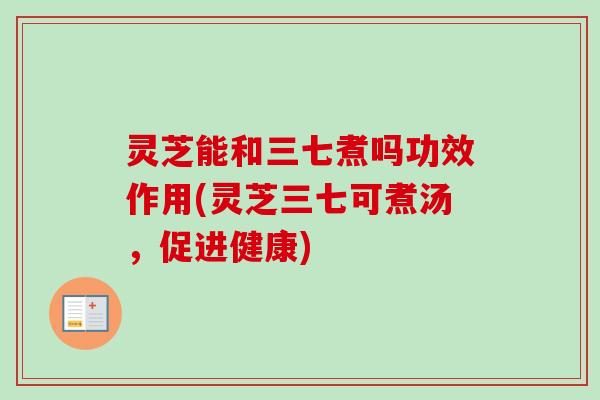 灵芝能和三七煮吗功效作用(灵芝三七可煮汤，促进健康)