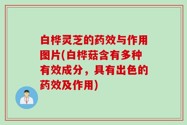 白桦灵芝的与作用图片(白桦菇含有多种有效成分,具有出色的及作用) 白桦灵芝的与作用图片(白桦菇含有多种有效成分,具有出色的及作用)