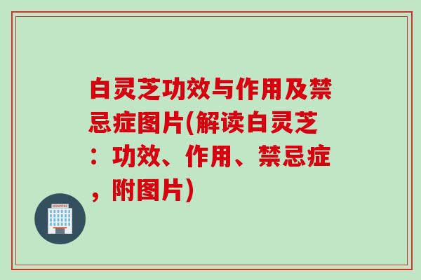 白灵芝功效与作用及禁忌症图片(解读白灵芝：功效、作用、禁忌症，附图片)