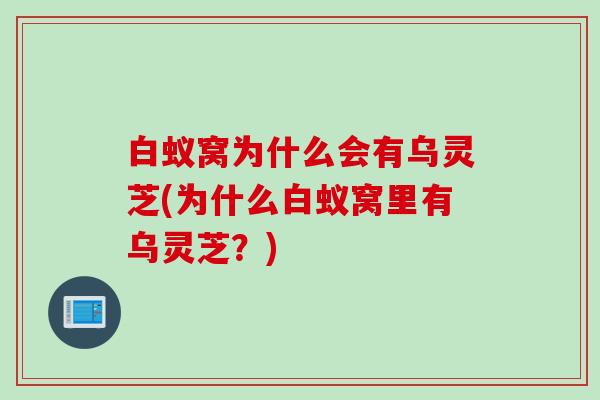 白蚁窝为什么会有乌灵芝(为什么白蚁窝里有乌灵芝？)