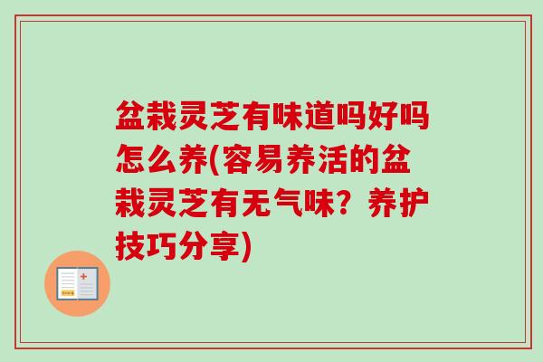 盆栽灵芝有味道吗好吗怎么养(容易养活的盆栽灵芝有无气味？养护技巧分享)
