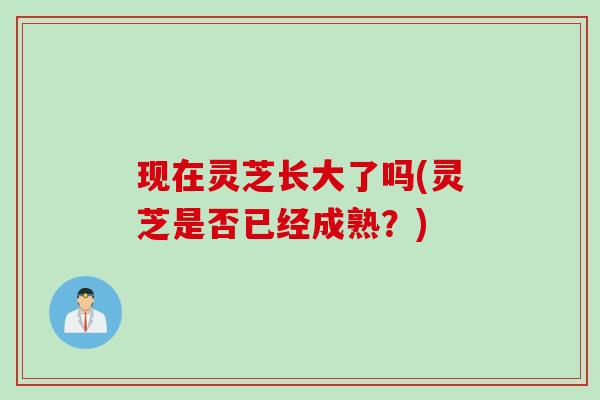 现在灵芝长大了吗(灵芝是否已经成熟？)