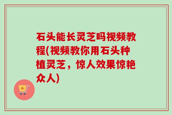 石头能长灵芝吗视频教程(视频教你用石头种植灵芝，惊人效果惊艳众人)