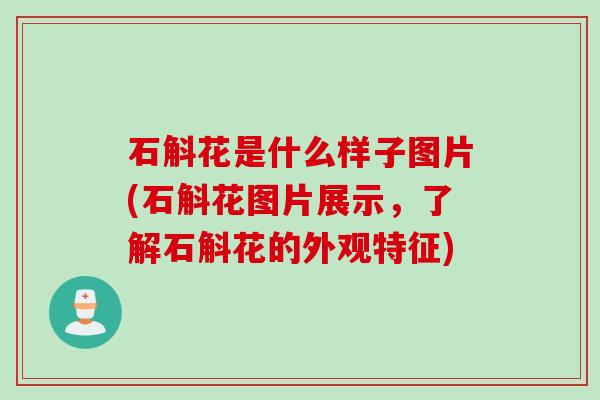 石斛花是什么样子图片(石斛花图片展示,了解石斛花的外观特征) 石斛花是什么样子图片(石斛花图片展示,了解石斛花的外观特征)