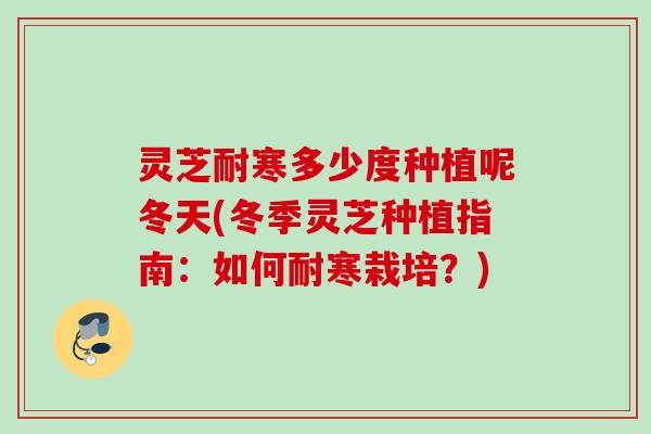 灵芝耐寒多少度种植呢冬天(冬季灵芝种植指南：如何耐寒栽培？)