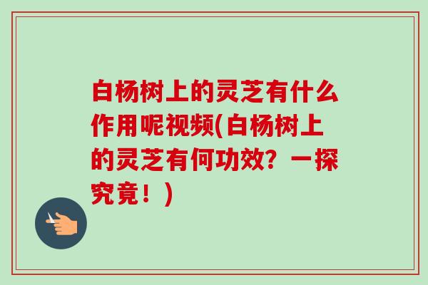 白杨树上的灵芝有什么作用呢视频(白杨树上的灵芝有何功效？一探究竟！)