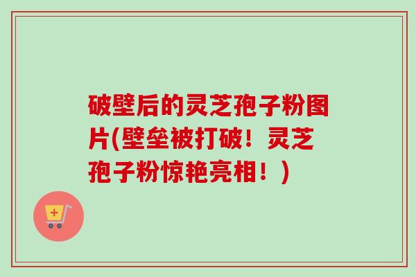 破壁后的灵芝孢子粉图片(壁垒被打破！灵芝孢子粉惊艳亮相！)