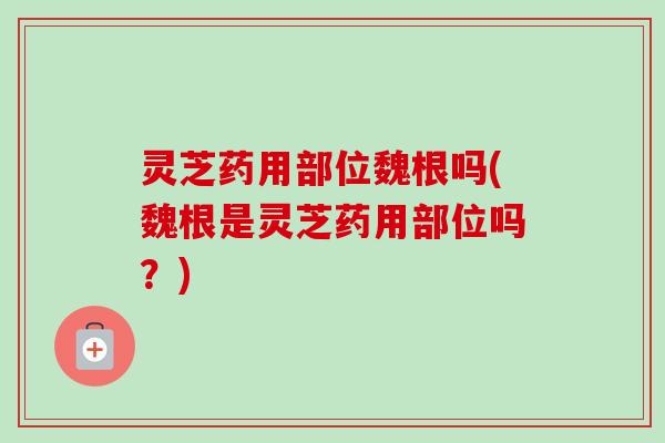 灵芝药用部位魏根吗(魏根是灵芝药用部位吗？)