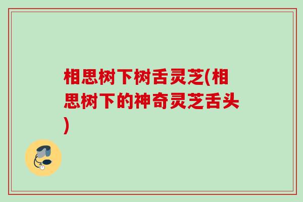 相思树下树舌灵芝(相思树下的神奇灵芝舌头) 相思树下树舌灵芝(相思树下的神奇灵芝舌头)