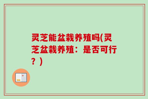 灵芝能盆栽养殖吗(灵芝盆栽养殖:是否可行?) 灵芝能盆栽养殖吗(灵芝盆栽养殖:是否可行?)
