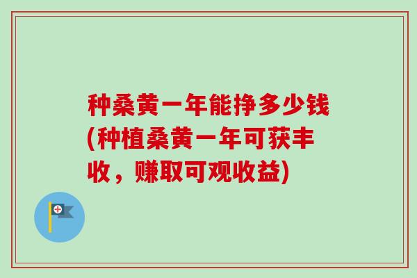 种桑黄一年能挣多少钱(种植桑黄一年可获丰收，赚取可观收益)