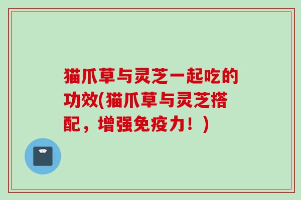 猫爪草与灵芝一起吃的功效(猫爪草与灵芝搭配,增强免疫力!) 猫爪草与灵芝一起吃的功效(猫爪草与灵芝搭配,增强免疫力!)