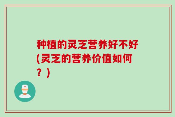 种植的灵芝营养好不好(灵芝的营养价值如何？)