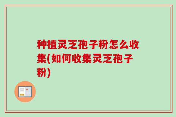 种植灵芝孢子粉怎么收集(如何收集灵芝孢子粉)