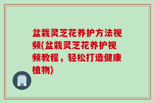 盆栽灵芝花养护方法视频(盆栽灵芝花养护视频教程，轻松打造健康植物)