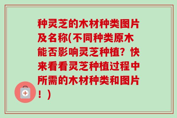 种灵芝的木材种类图片及名称(不同种类原木能否影响灵芝种植？快来看看灵芝种植过程中所需的木材种类和图片！)