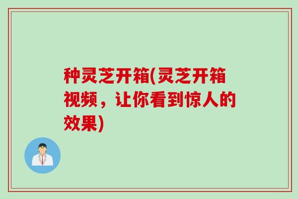 种灵芝开箱(灵芝开箱视频，让你看到惊人的效果)
