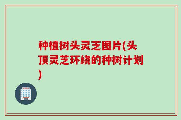 种植树头灵芝图片(头顶灵芝环绕的种树计划)