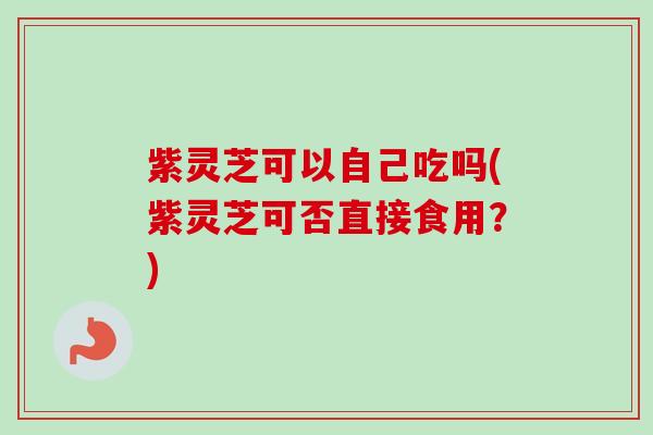 紫灵芝可以自己吃吗(紫灵芝可否直接食用？)