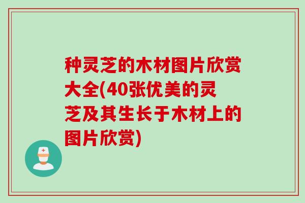种灵芝的木材图片欣赏大全(40张优美的灵芝及其生长于木材上的图片欣赏)