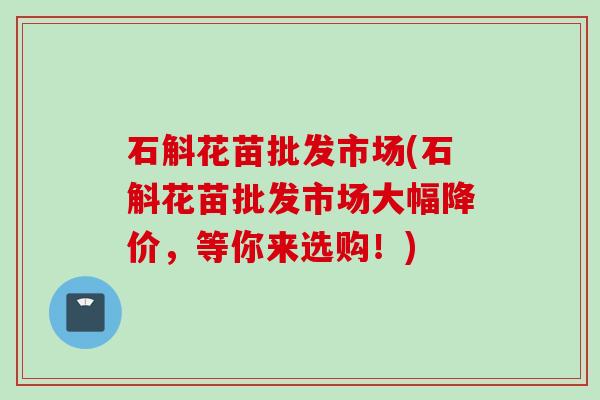 石斛花苗批发市场(石斛花苗批发市场大幅降价，等你来选购！)