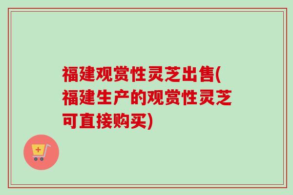 福建观赏性灵芝出售(福建生产的观赏性灵芝可直接购买)