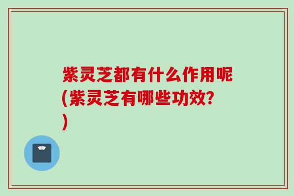 紫灵芝都有什么作用呢(紫灵芝有哪些功效？)
