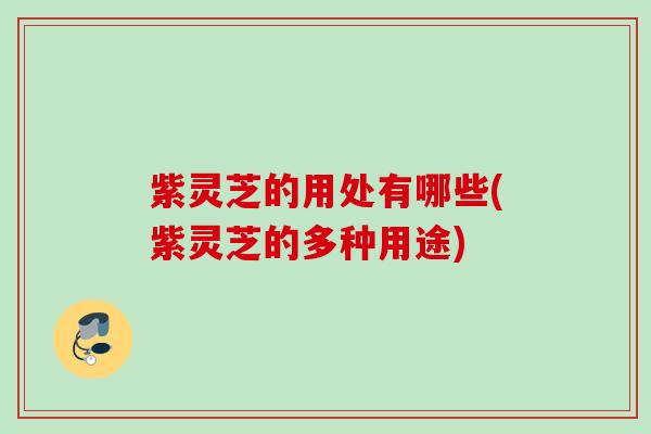 紫灵芝的用处有哪些(紫灵芝的多种用途)