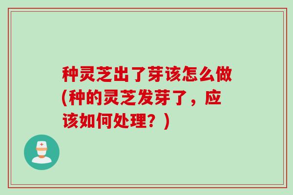 种灵芝出了芽该怎么做(种的灵芝发芽了，应该如何处理？)