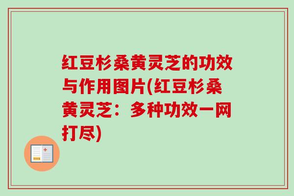 红豆杉桑黄灵芝的功效与作用图片(红豆杉桑黄灵芝：多种功效一网打尽)