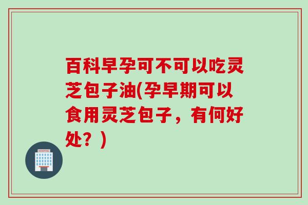 百科早孕可不可以吃灵芝包子油(孕早期可以食用灵芝包子，有何好处？)