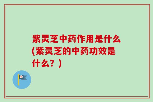 紫灵芝中药作用是什么(紫灵芝的中药功效是什么？)