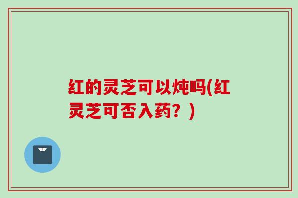 红的灵芝可以炖吗(红灵芝可否入药？)