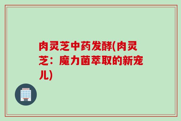 肉灵芝中药发酵(肉灵芝：魔力菌萃取的新宠儿)