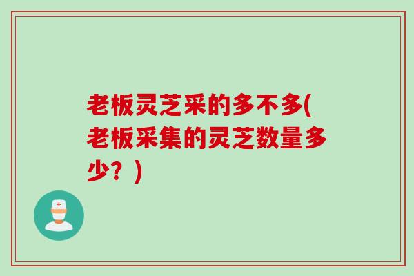 老板灵芝采的多不多(老板采集的灵芝数量多少？)
