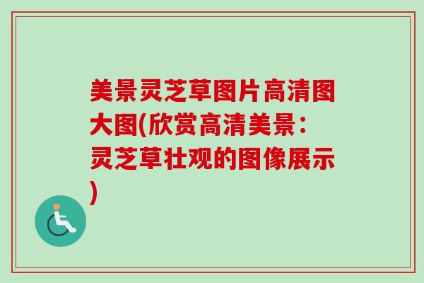 美景灵芝草图片高清图大图(欣赏高清美景：灵芝草壮观的图像展示)