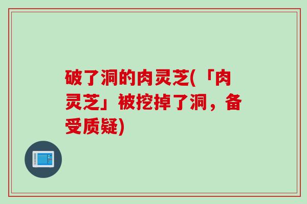 破了洞的肉灵芝(「肉灵芝」被挖掉了洞，备受质疑)