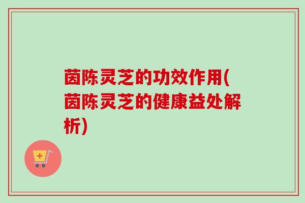 茵陈灵芝的功效作用(茵陈灵芝的健康益处解析)