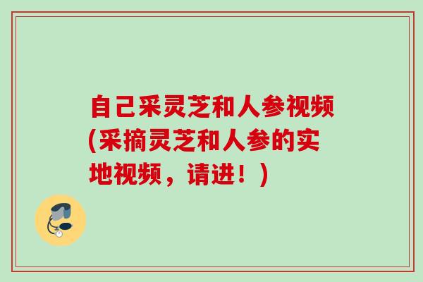 自己采灵芝和人参视频(采摘灵芝和人参的实地视频，请进！)