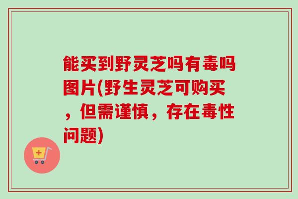 能买到野灵芝吗有毒吗图片(野生灵芝可购买，但需谨慎，存在毒性问题)
