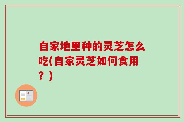 自家地里种的灵芝怎么吃(自家灵芝如何食用？)