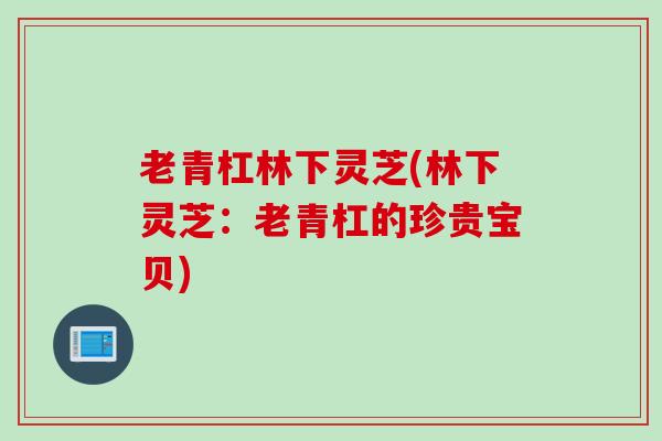 老青杠林下灵芝(林下灵芝：老青杠的珍贵宝贝)