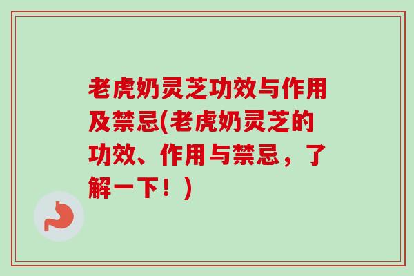 老虎奶灵芝功效与作用及禁忌(老虎奶灵芝的功效、作用与禁忌，了解一下！)