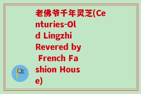 老佛爷千年灵芝(Centuries-Old Lingzhi Revered by French Fashion House) 老佛爷千年灵芝(Centuries-Old Lingzhi Revered by French Fashion House)