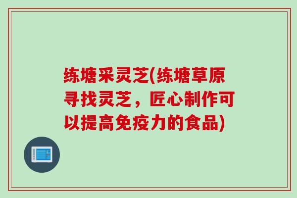 练塘采灵芝(练塘草原寻找灵芝，匠心制作可以提高免疫力的食品)