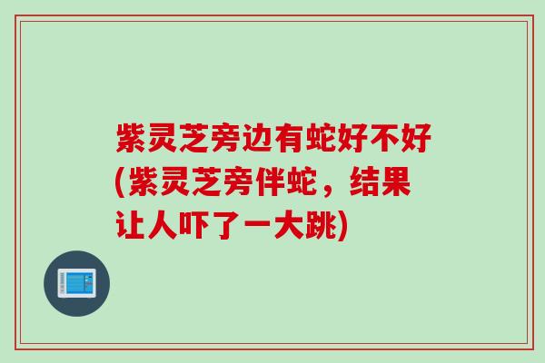 紫灵芝旁边有蛇好不好(紫灵芝旁伴蛇，结果让人吓了一大跳)